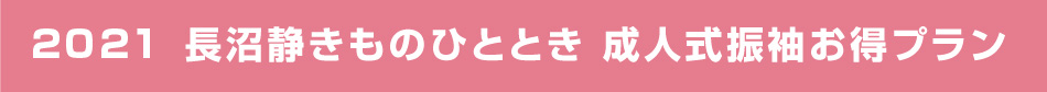 2021長沼静きもののひととき成人式振袖お得プラン